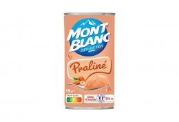 Crème dessert praliné 570g Mont Blanc