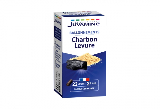 Charbon + levure gaz intestinaux