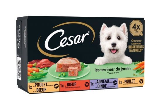 César "Les terrines du jardin"