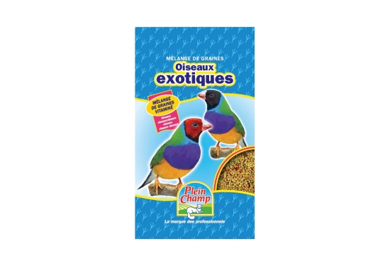 Graines pour oiseaux exotiques