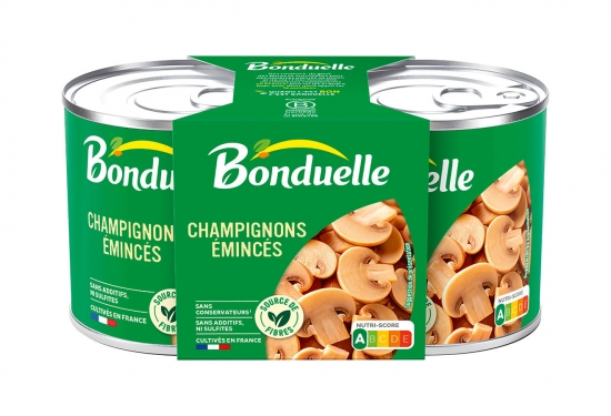 Lot de 2 boîtes 1/4 de champignons de Paris émincés