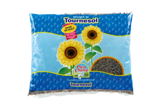 Graines de tournesol noir