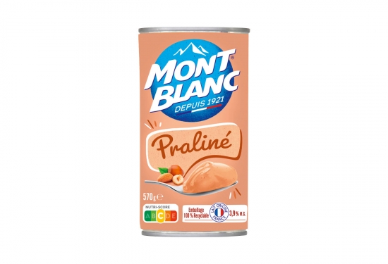 Crème dessert praliné 570g Mont Blanc