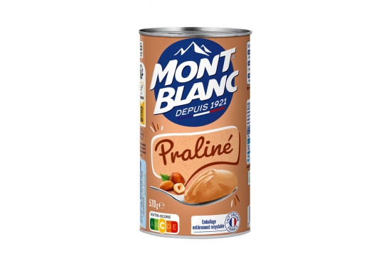 Lot de 3 boîtes de crème dessert praliné