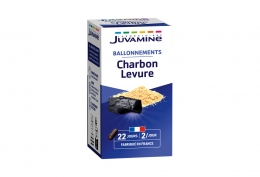 Charbon + levure gaz intestinaux