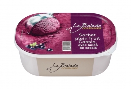 Bac de sorbet cassis