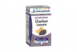 Charbon + levure gaz intestinaux