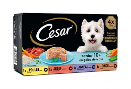 César "Senior 10 +"
