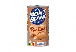 Lot de 3 boîtes de crème dessert praliné