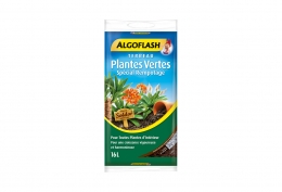 Terreau plantes vertes