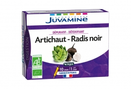 Radis noir artichaut dépuratif - détoxifiant